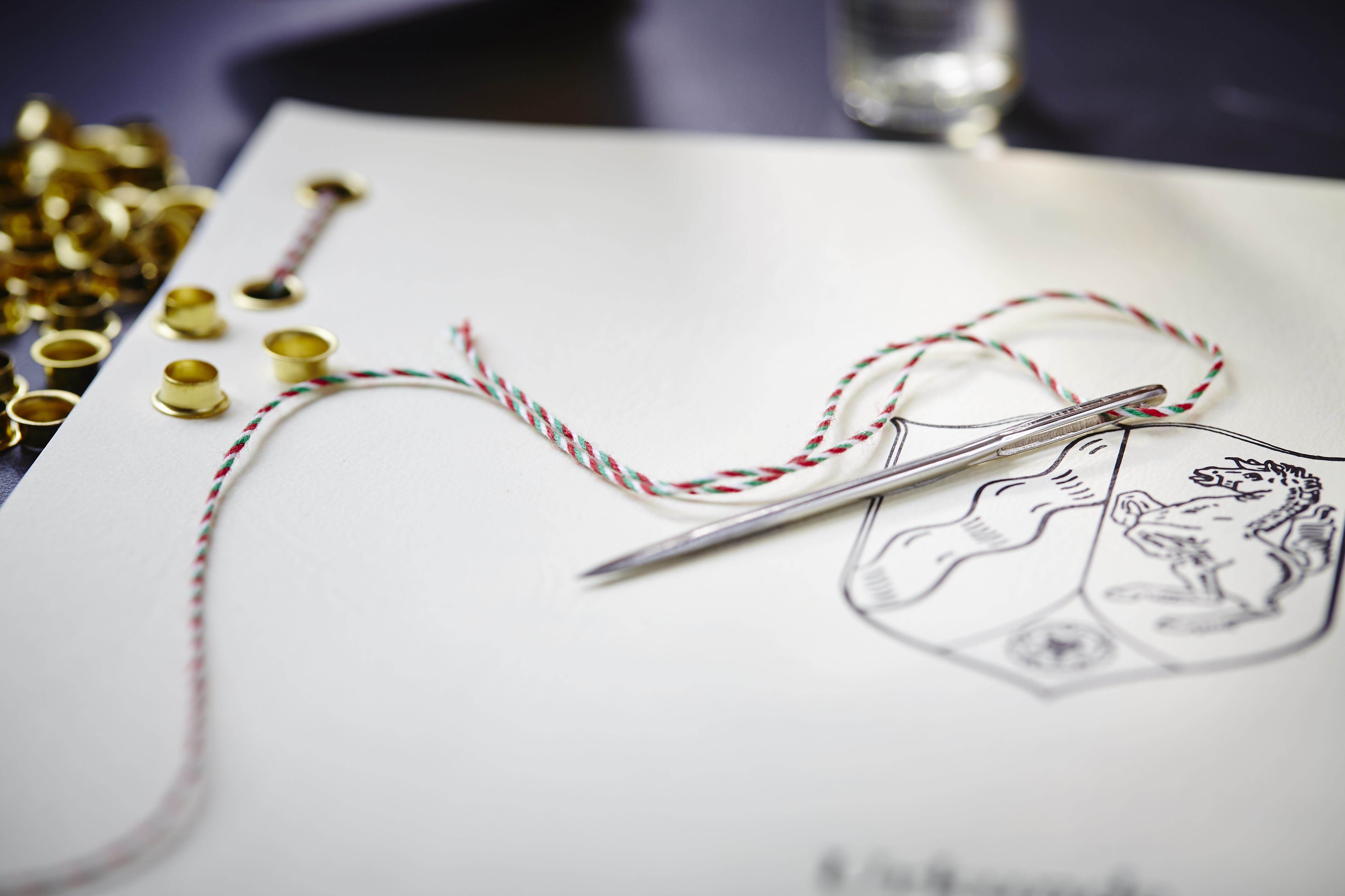 Notarin Dr. Nicole Plate